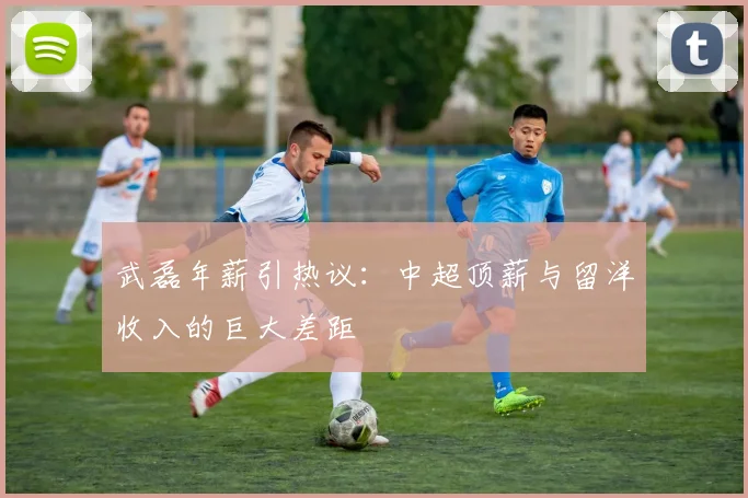 武磊年薪引热议：中超顶薪与留洋收入的巨大差距