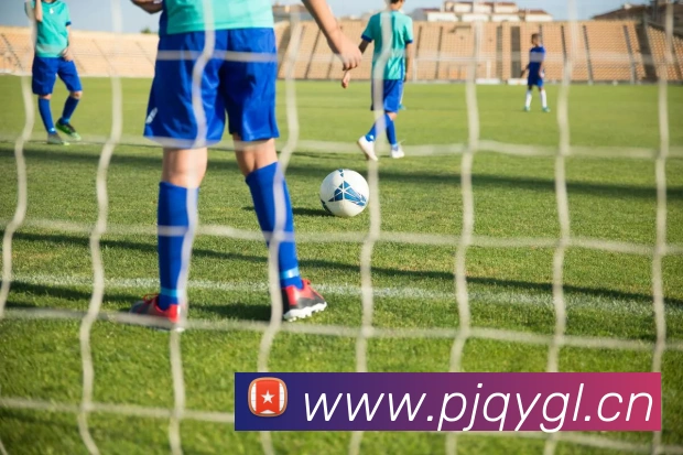 大阳城集团娱乐传媒平台生态图